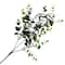 Eucalyptus Stem by Ashland®